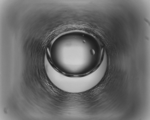 X0000099501492200805151418
