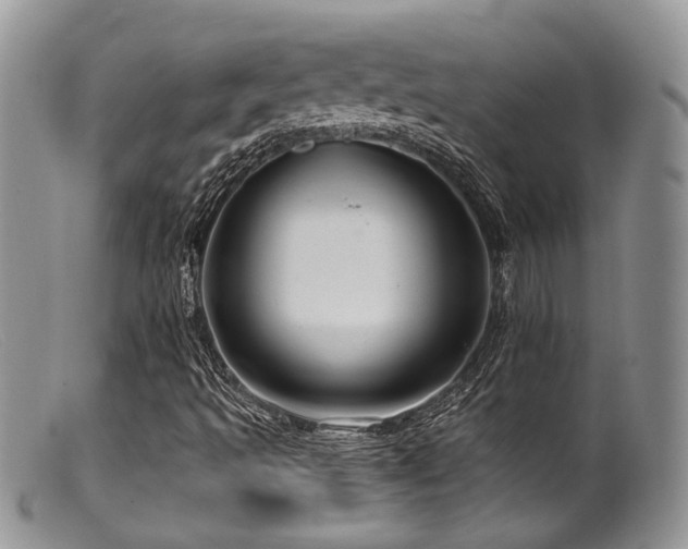 X0000099501493200805151418