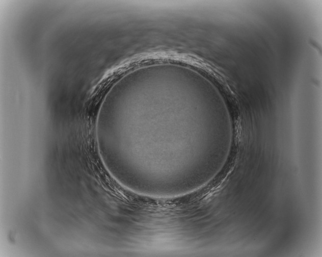 X0000099501494200805151418