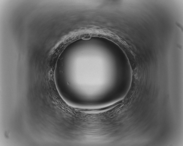 X0000099501495200805151418