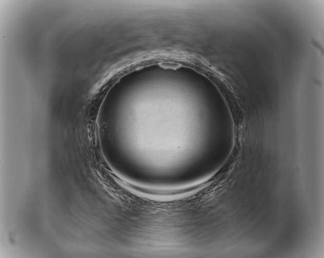 X0000099501496200805151418