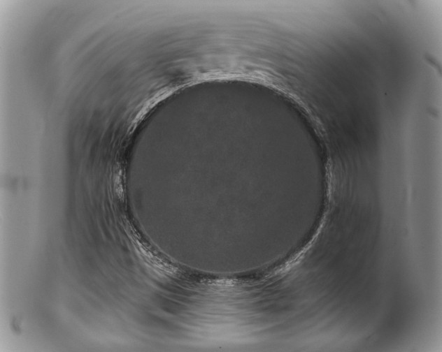 X0000099501497200805151418