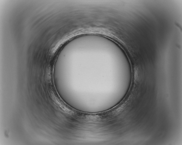 X0000099501498200805151418