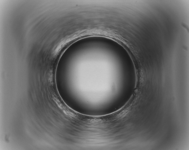X0000099501499200805151418