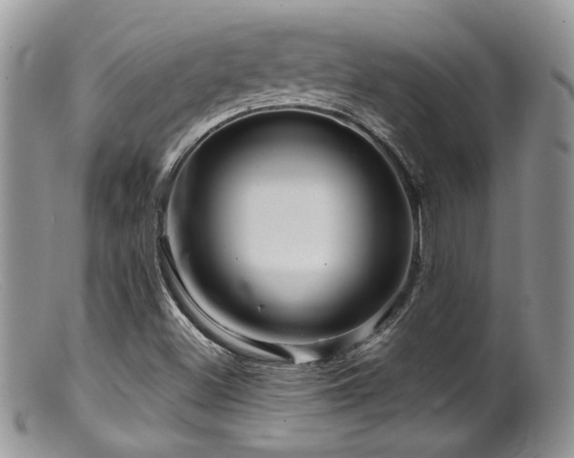X0000099501500200805151418