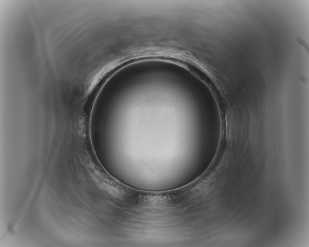 X0000099501501200805151418