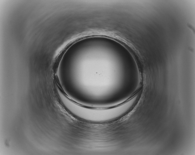 X0000099501502200805151418