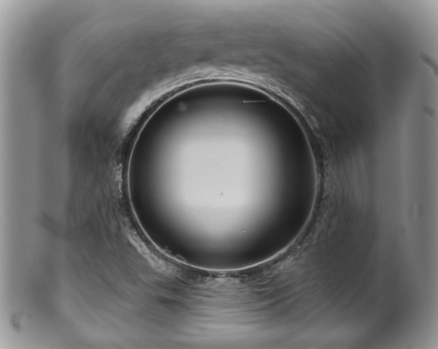 X0000099501503200805151418