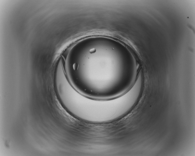 X0000099501504200805151418