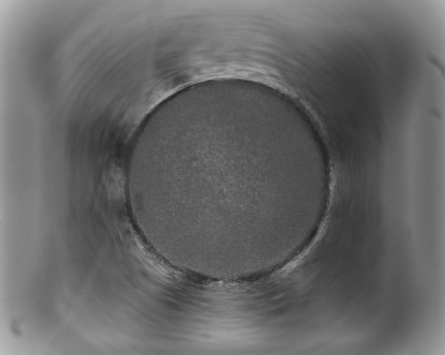 X0000099501505200805151418