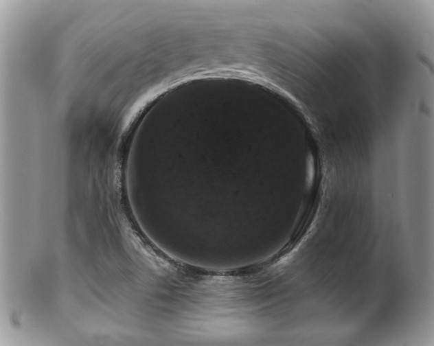 X0000099501506200805151418