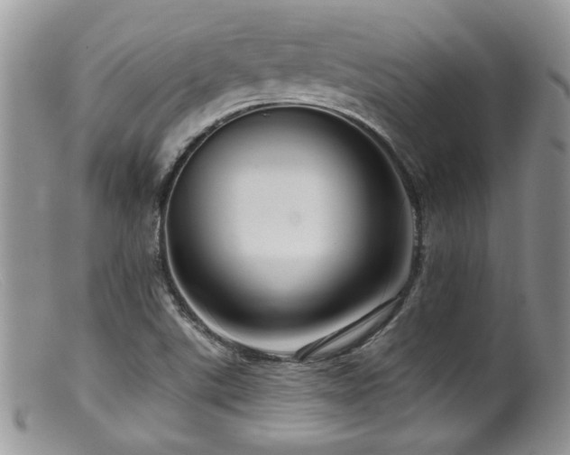 X0000099501507200805151418