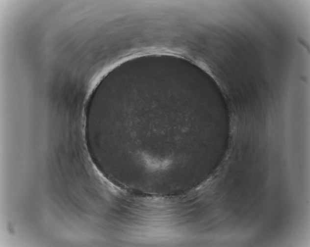 X0000099501508200805151418