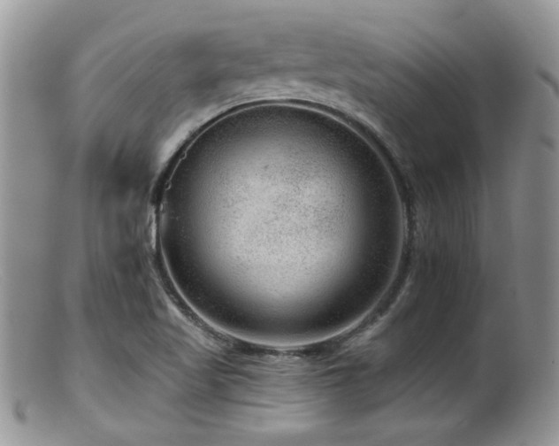 X0000099501509200805151418