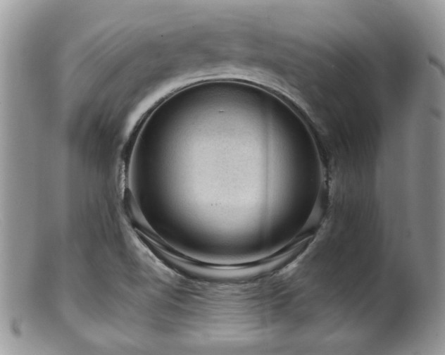 X0000099501510200805151418
