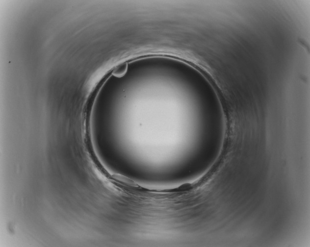 X0000099501511200805151418