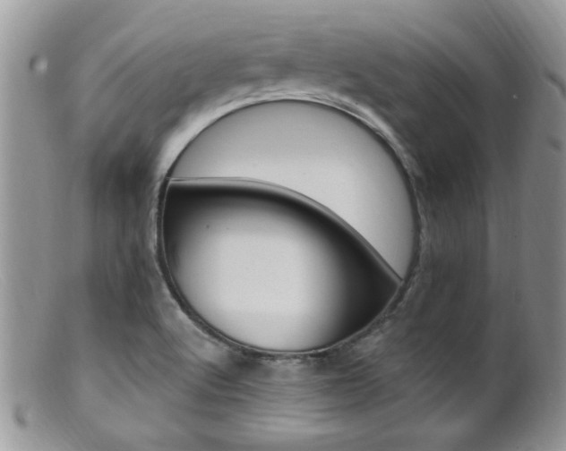 X0000099501512200805151419