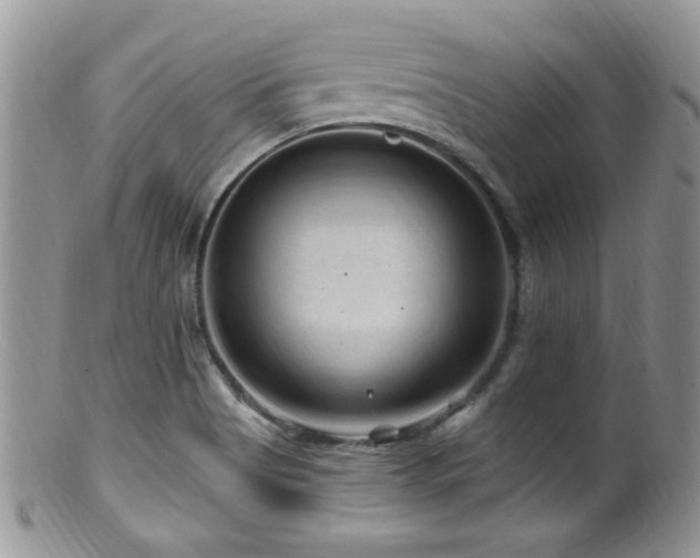X0000099501513200805151419