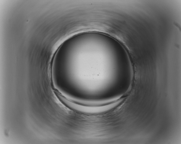 X0000099501516200805151419