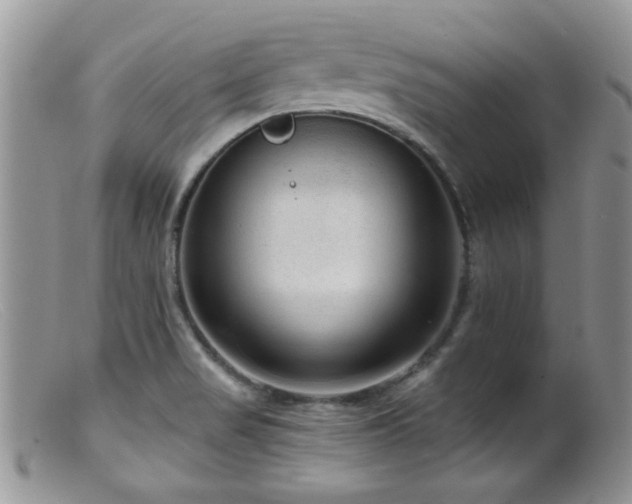 X0000099501517200805151419