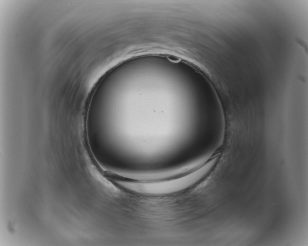 X0000099501518200805151419