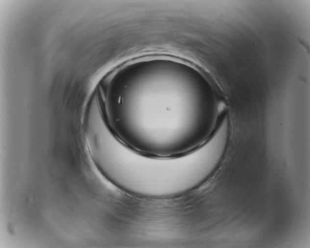 X0000099501519200805151419