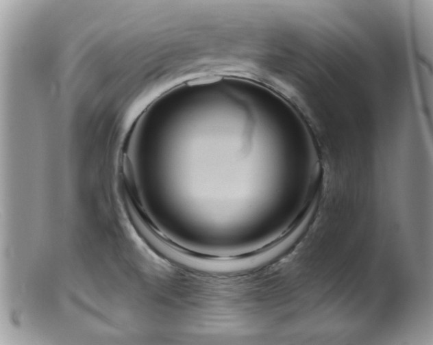 X0000099501520200805151419