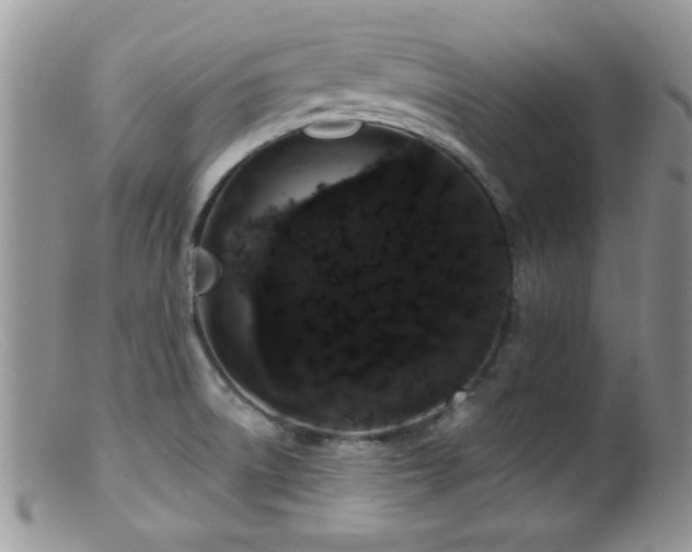 X0000099501522200805151419