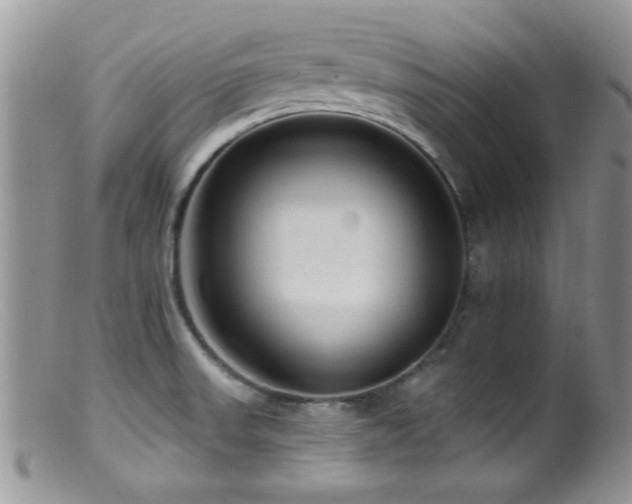 X0000099501523200805151419