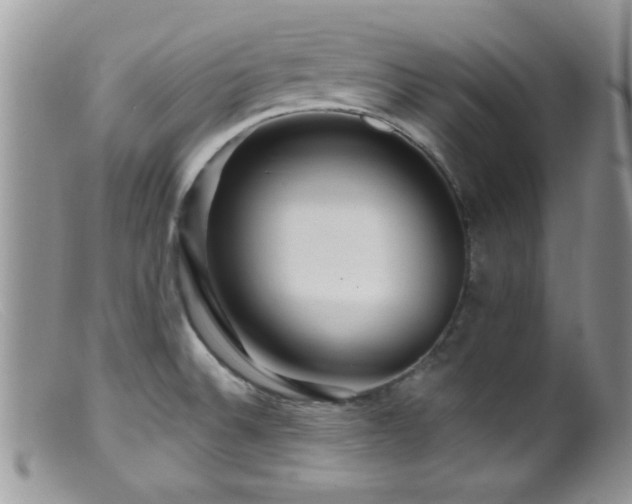 X0000099501524200805151419