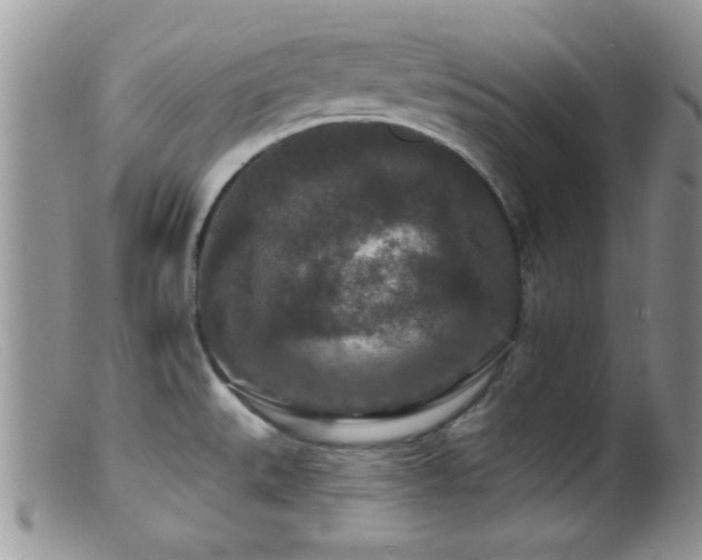 X0000099501527200805151419