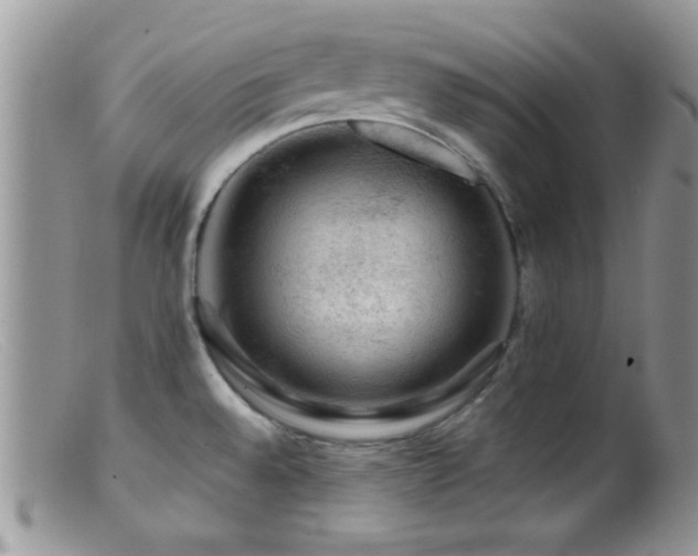 X0000099501528200805151419
