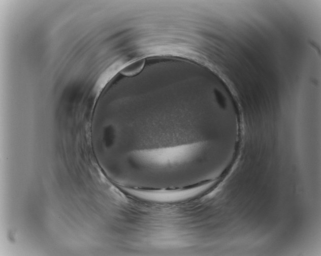 X0000099501529200805151419