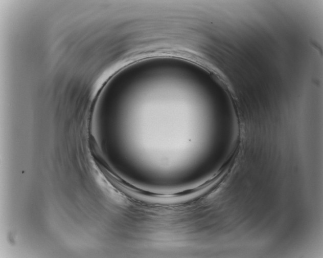 X0000099501530200805151419