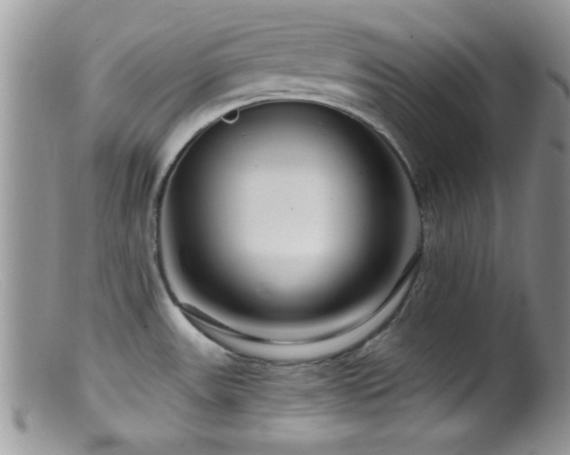 X0000099501531200805151419