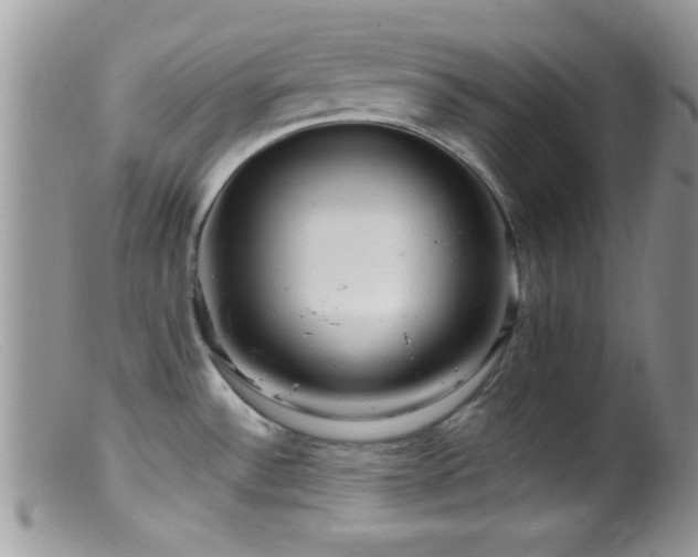 X0000099501532200805151419