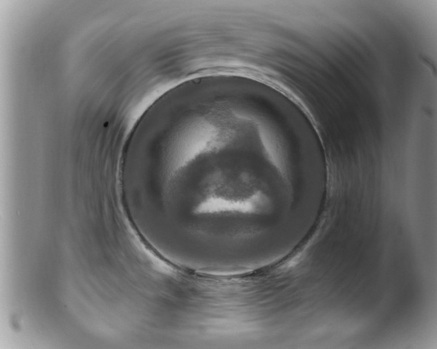 X0000099501533200805151419