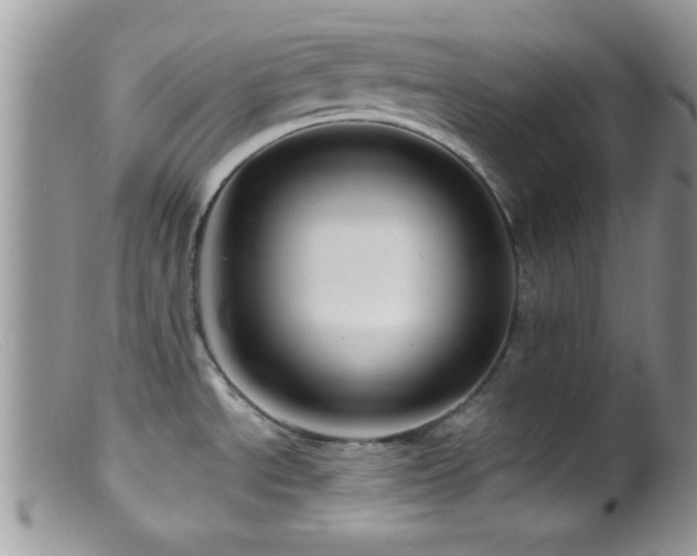 X0000099501534200805151419