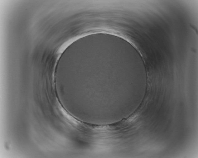X0000099501535200805151419