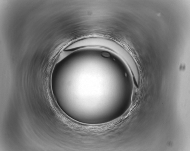 X0000099500001200805221411