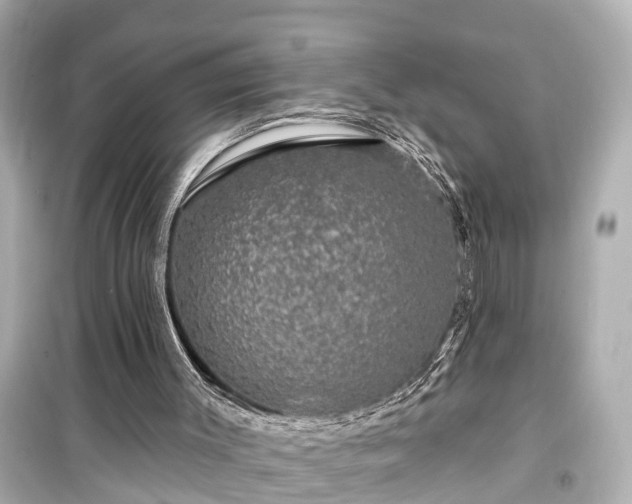 X0000099500003200805221411