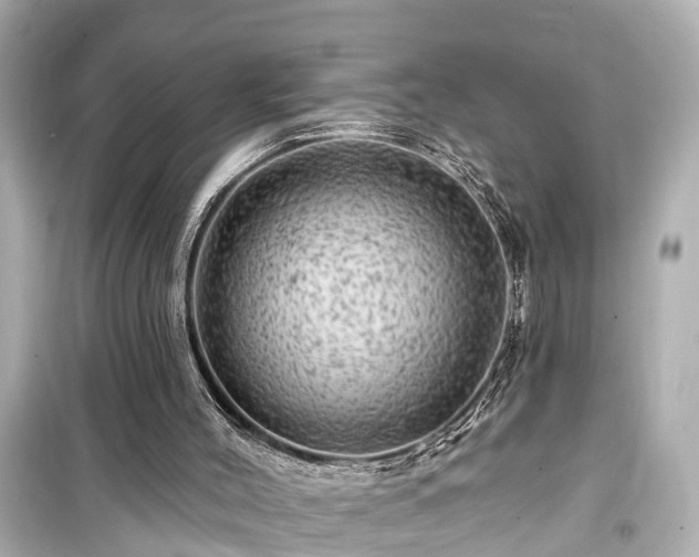X0000099500004200805221411