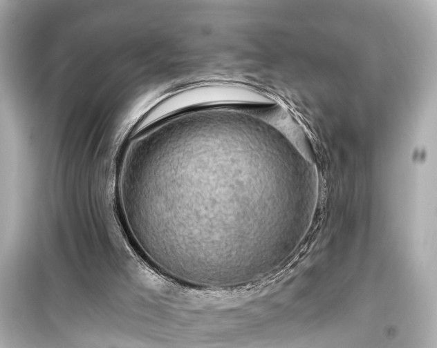 X0000099500005200805221411