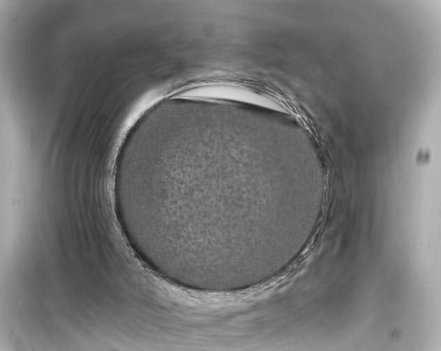 X0000099500006200805221411