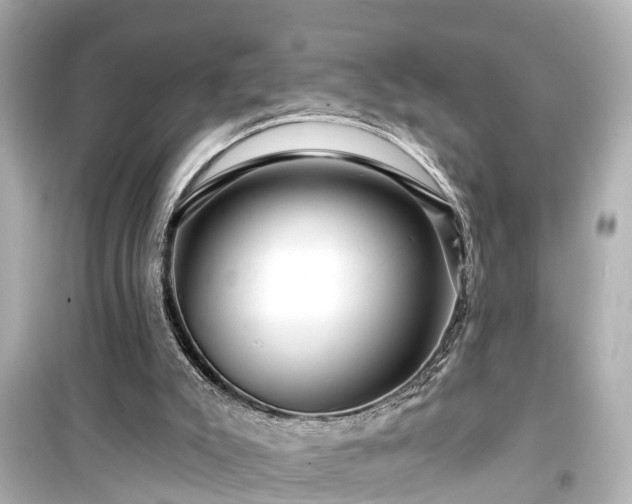 X0000099500007200805221411