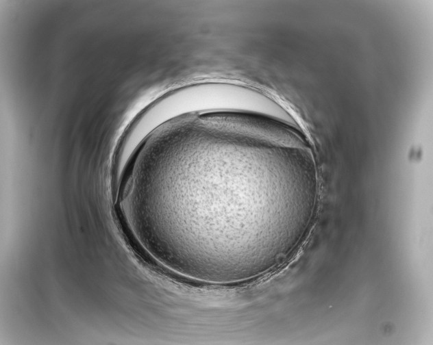 X0000099500008200805221411