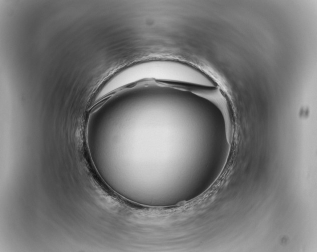 X0000099500009200805221411