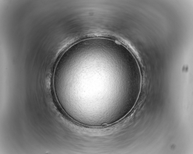 X0000099500010200805221410