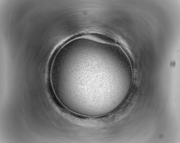 X0000099500012200805221410