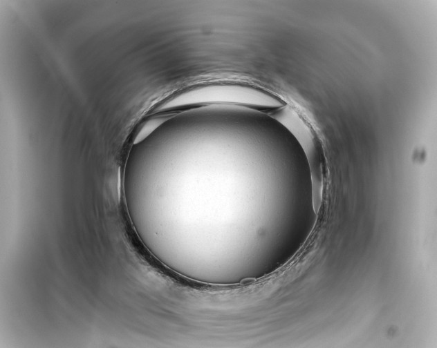 X0000099500013200805221410